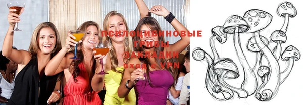 ECSTASY Алексин