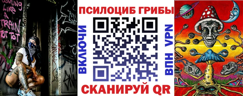 Псилоцибиновые грибы мицелий  ссылка на мегу маркетплейс  Кемерово 